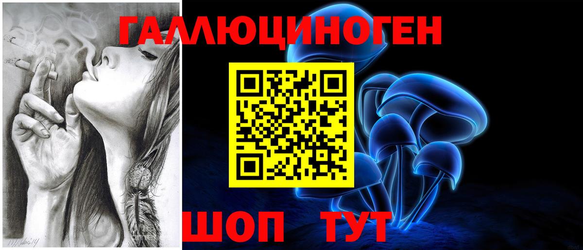 Дзержинский  Псилоцибиновые грибы ЛСД  купить наркоту  Вход с VPN 